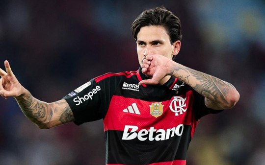 Flamengo cita avanço do jogo clandestino para defender bets