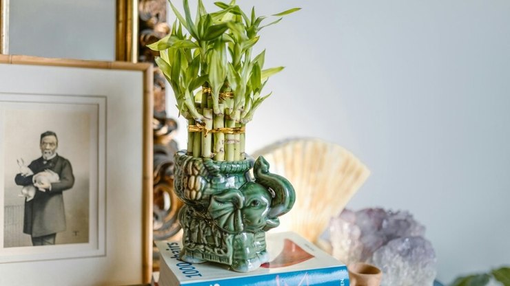 Feng Shui de Primavera: o que mudar na decoração de casa?