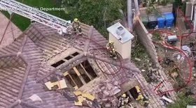 Planta do norte da Itália pode causar cegueira e queimaduras