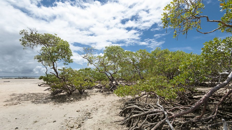 Cairu administra as Ilhas de Tinharé e Boipeba Cairu administra as Ilhas de Tinharé e Boipeba