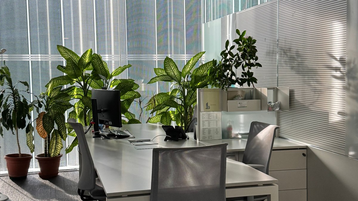 Plantas podem reduzir poluentes do ar, mas melhor opção para ambientes fechados é a ventilação Plantas podem reduzir poluentes do ar, mas melhor opção para ambientes fechados é a ventilação