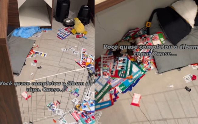 Cachorro destrói álbum da Copa com 600 figurinhas coladas Cf0yqc55tin2f5koifd7ckuhb