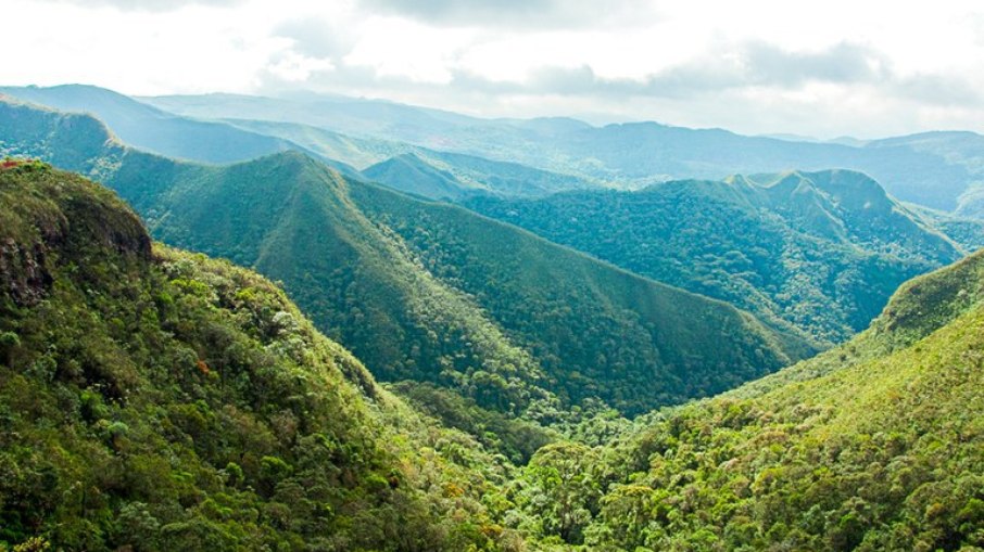 Mata Atlântica