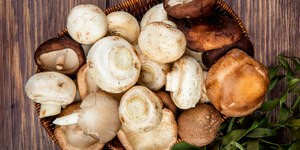 Surto de cogumelos venenosos deixa três mortos