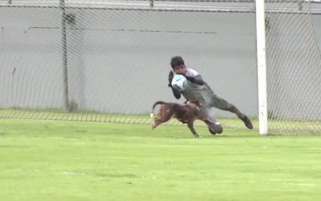 Cachorro quase desviou um cruzamento em jogo do Vasco contra o Madureira