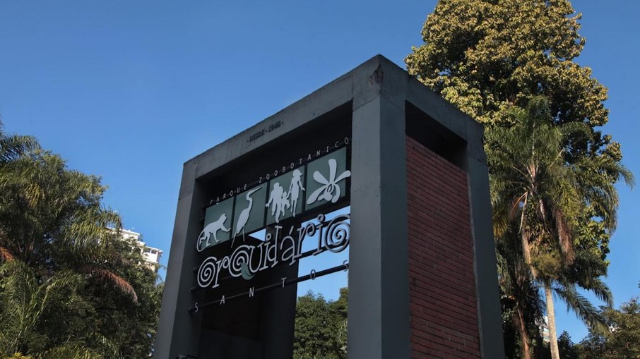 Orquidário de Santos é um dos parques mais visitados do estado de São Paulo Orquidário de Santos é um dos parques mais visitados do estado de São Paulo