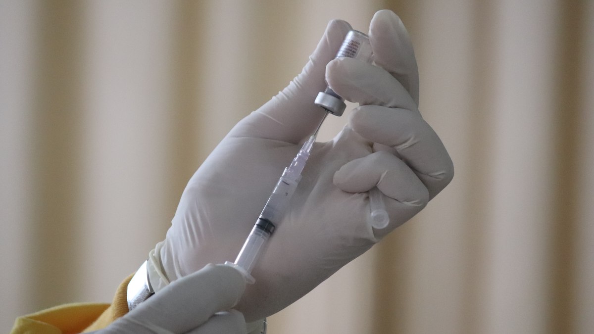 Vacina brasileira contra Covid-19 está pronta para testes em humanos
