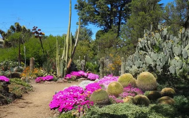 Jardim mais bonito do mundo fica na Califórnia