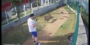Vídeos revelam empresário passeando com cães após matar gari