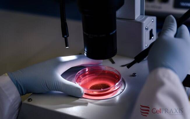 Produto feito a partir do plasma do sangue pode ajudar pacientes com Covid-19