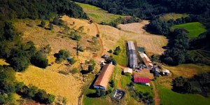 Super El Niño: efeitos podem pesar no prato do brasileiro?