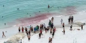 Pesca termina com mancha enorme de sangue no mar; assista