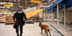Polícia apreende 174 kg de drogas nos Correios de São Paulo