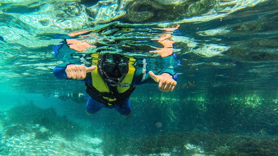 Ao longo do caminho é possível ter um vislumbre da fauna e da flora