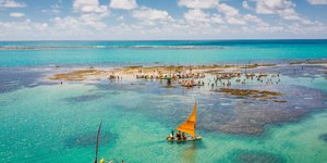 Maceió (AL): mar com águas cristalinas e piscinas naturais