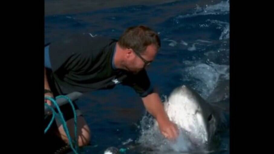 Tubarão quase arranca mão de homem que tentou tocá-lo; assista