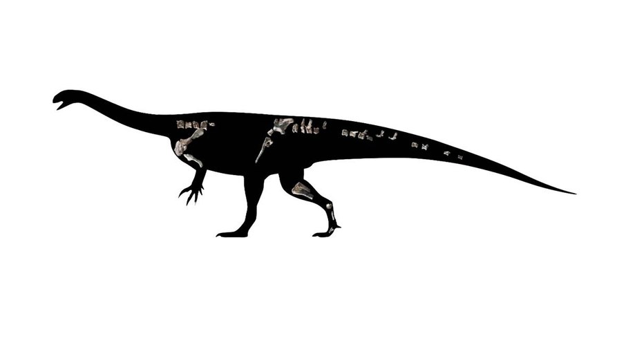 Representação do Musango matusadonaensis
