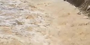 Peixes "voando" durante piracema impressiona em Pirassununga