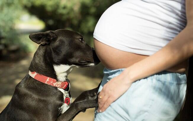 Ter um cão durante o período de gestação traz muitos benefícios para a futura mamãe