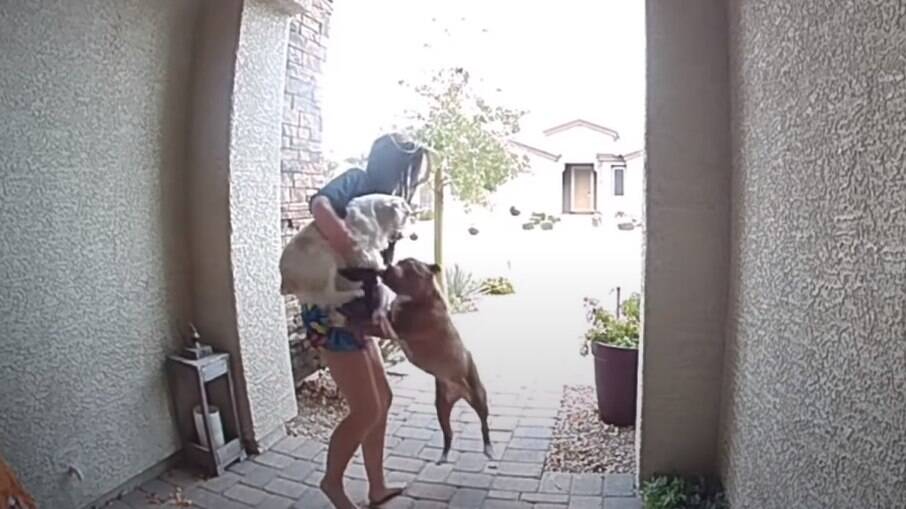 Jovem salva cachorro de ataque e quase é atacada também