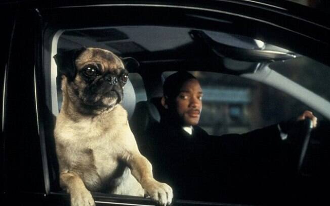 Animais do cinema: O cãozinho da raça pug que deu vida ao alien Frank também faleceu. Antes de morrer, o cãozinho tinha uma vida de luxo