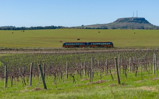 Trem do Pampa chega para impulsionar turismo na região da Campanha Gaúcha