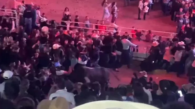 Espanha: corrida de touros nas ruas de Valência deixa três mortos