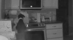 Cachorro curioso acende fogão e inicia incêndio em casa; assista