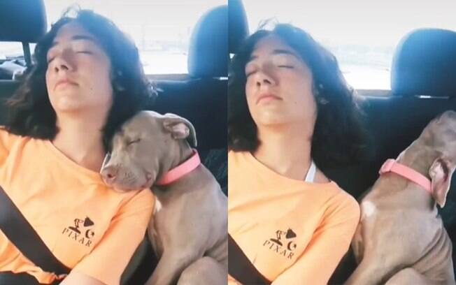 Cachorro tirando uma soneca no carro viraliza no TikTok