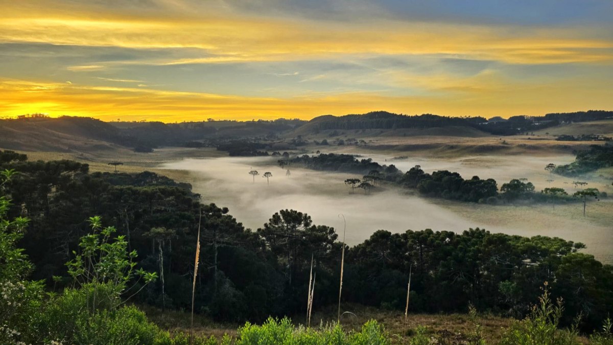 Frio intenso atinge Santa Catarina