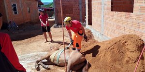 Cavalo é resgatado de fossa por bombeiros