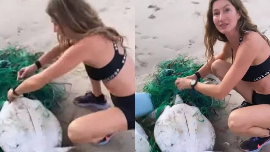 Gisele Bündchen salva tartaruga presa em rede na praia: 'Grata por ajudá-la'
