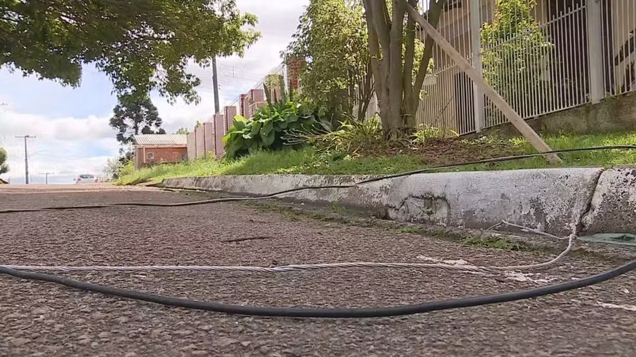 Fio de alta tensão rompeu e caiu no chão após ser atingido por árvore durante temporal em Charqueadas (RS) Fio de alta tensão rompeu e caiu no chão após ser atingido por árvore durante temporal em Charqueadas (RS)