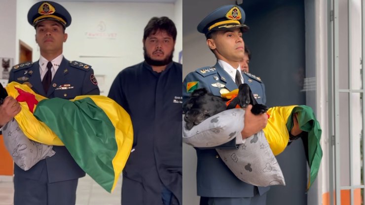 Corpo de Bombeiros homenageia cadela especializada em resgate