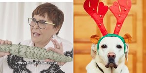 Márcia Sensitiva ensina ritual para proteger pets no Natal