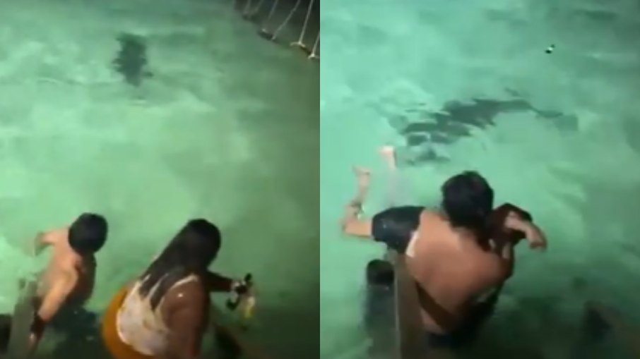 Turistas são surpreendidos por crocodilo durante mergulho em Belize Turistas são surpreendidos por crocodilo durante mergulho em Belize