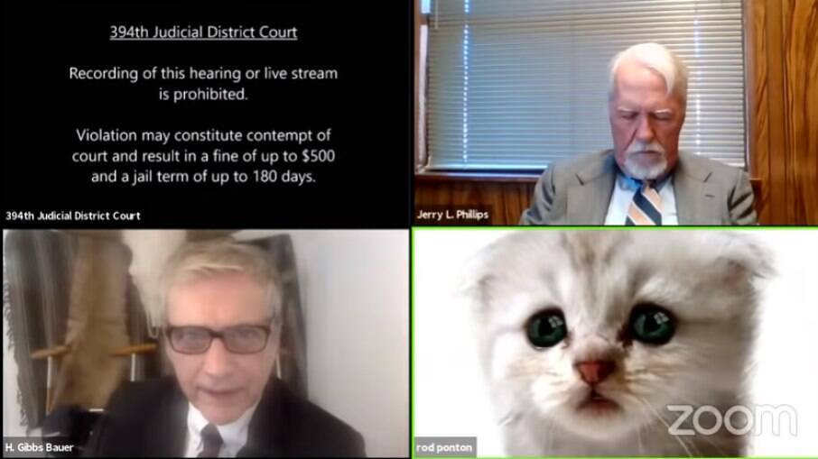 Advogado não consegue tirar filtro de gato em audiência