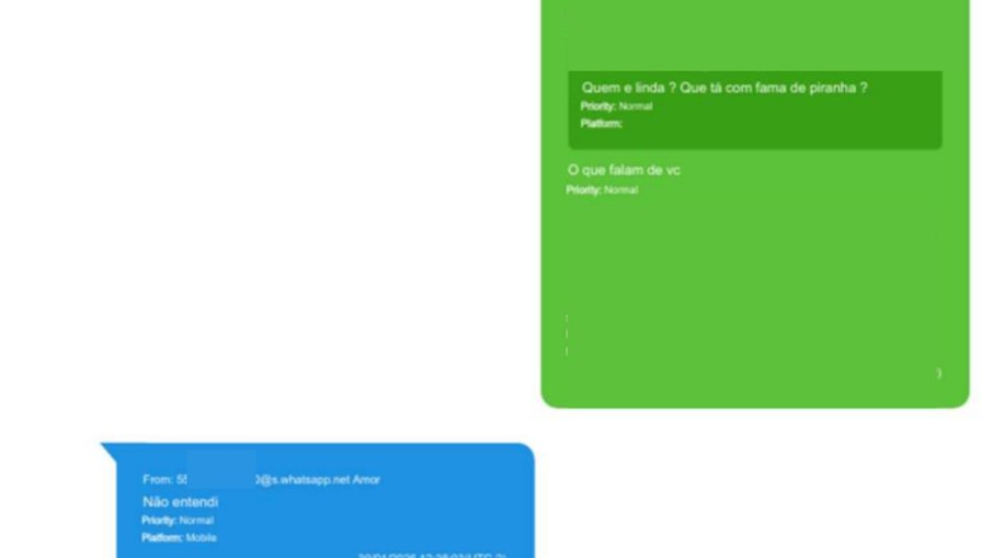 Os prints foram tirados após a polícia apreender o celular do tenente-coronel Geraldo Leite Rosa Neto