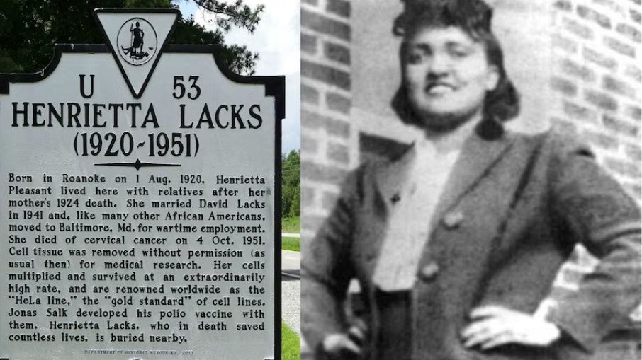 As células de Henrietta Lacks se tornaram um dos pilares da medicina moderna.