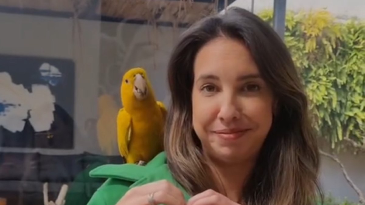 Zoológico em Foz permite tocar e pegar em animais Zoológico em Foz permite tocar e pegar em animais