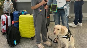 Onça que matou caseiro deve ficar presa em cativeiro até morrer