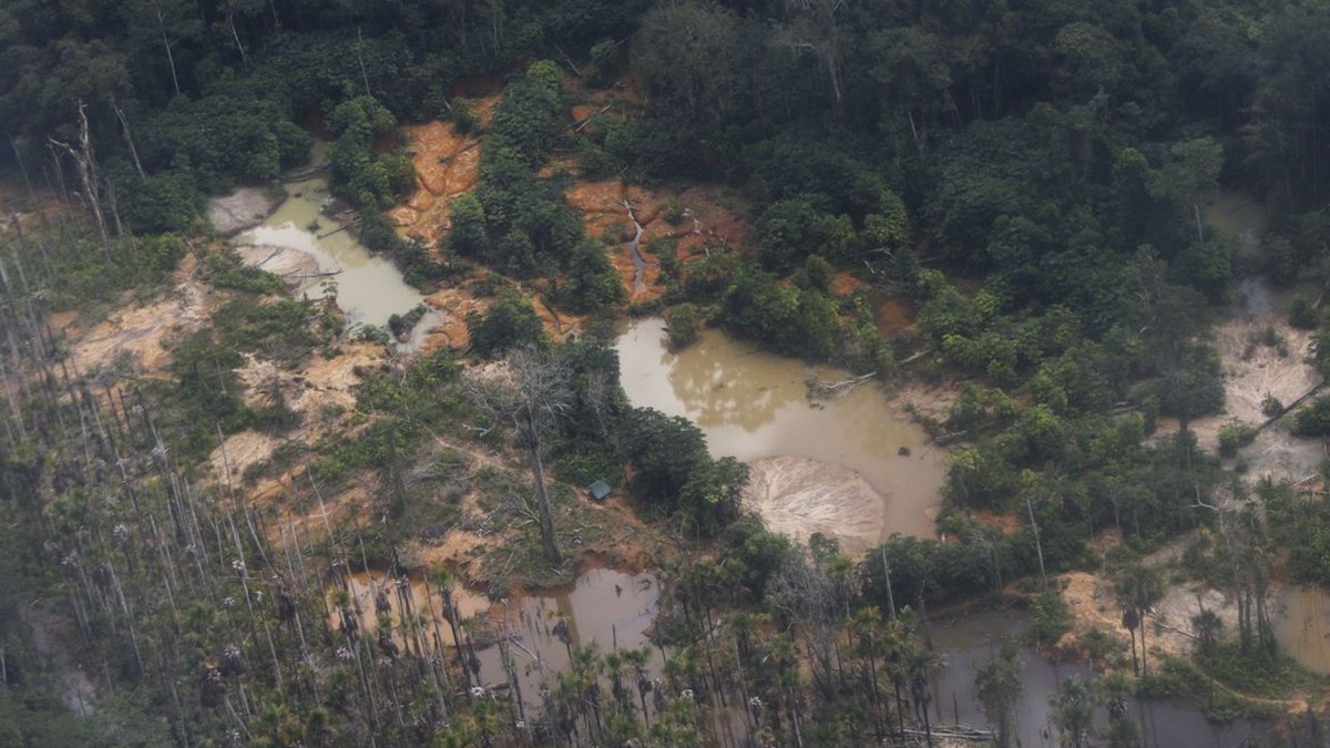 Garimpo na terra indígena