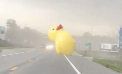 Pato inflável gigante atrapalha trânsito em estrada