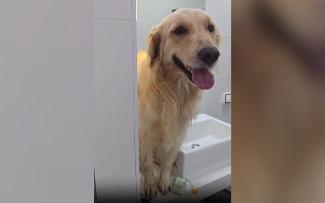 Cnaqki8707lk3ulzu0fokxftk