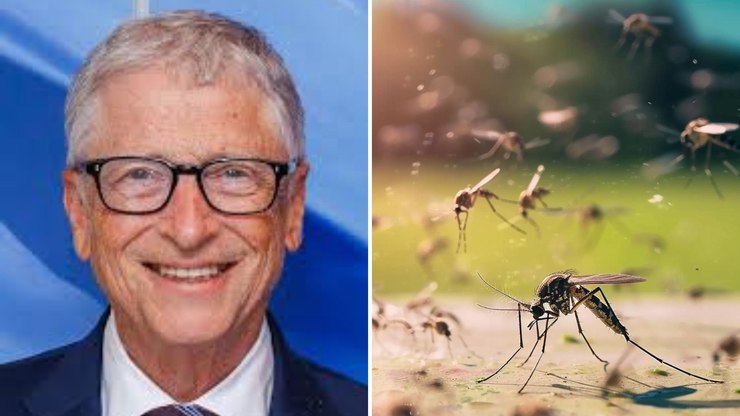 Bill Gates cria exército de mosquitos contra epidemias