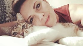 Gato desaparecido é encontrado a 270 metros de casa