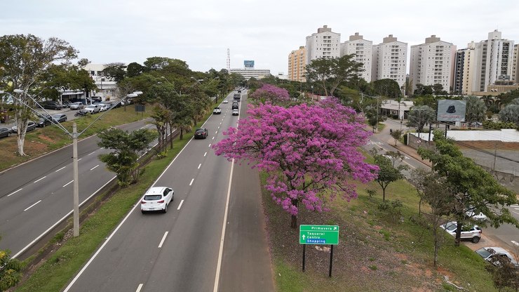 Frio perde força e tempo seco marca o fim de semana em Campinas