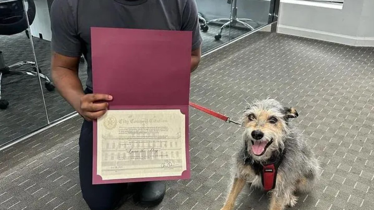 Luna recebeu uma homenagem honorário por seus serviços prestados