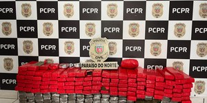 PF divulga estado que mais apreendeu maconha nos últimos 3 anos