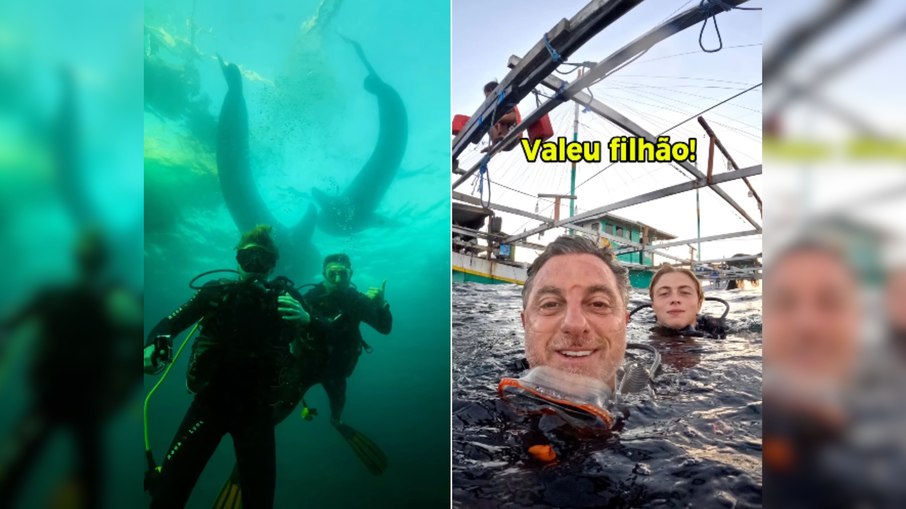 Luciano Huck e Benício mergulham com tubarões Luciano Huck e Benício mergulham com tubarões